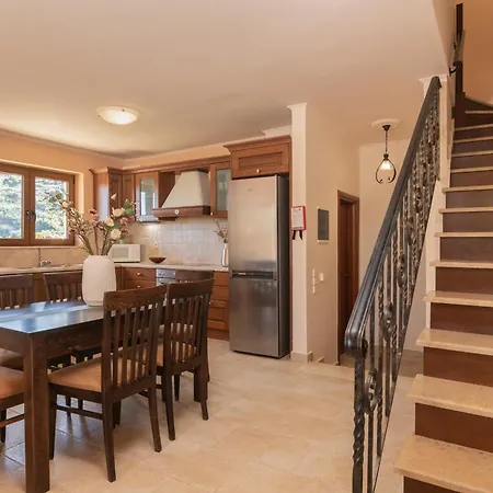 Elegance - Andon & Yiota Willa *