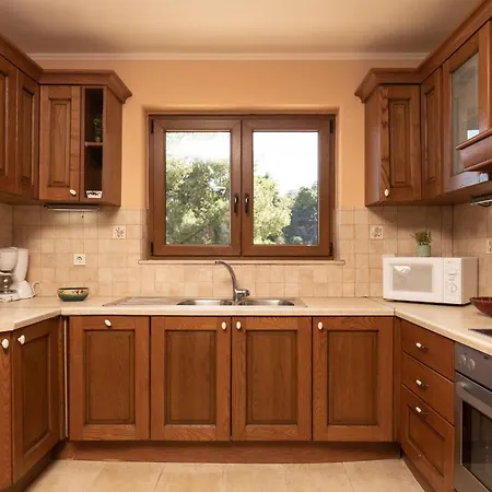 Elegance - Andon & Yiota *