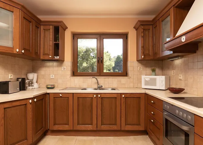 Elegance - Andon & Yiota *