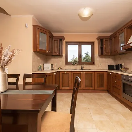 Elegance - Andon & Yiota *